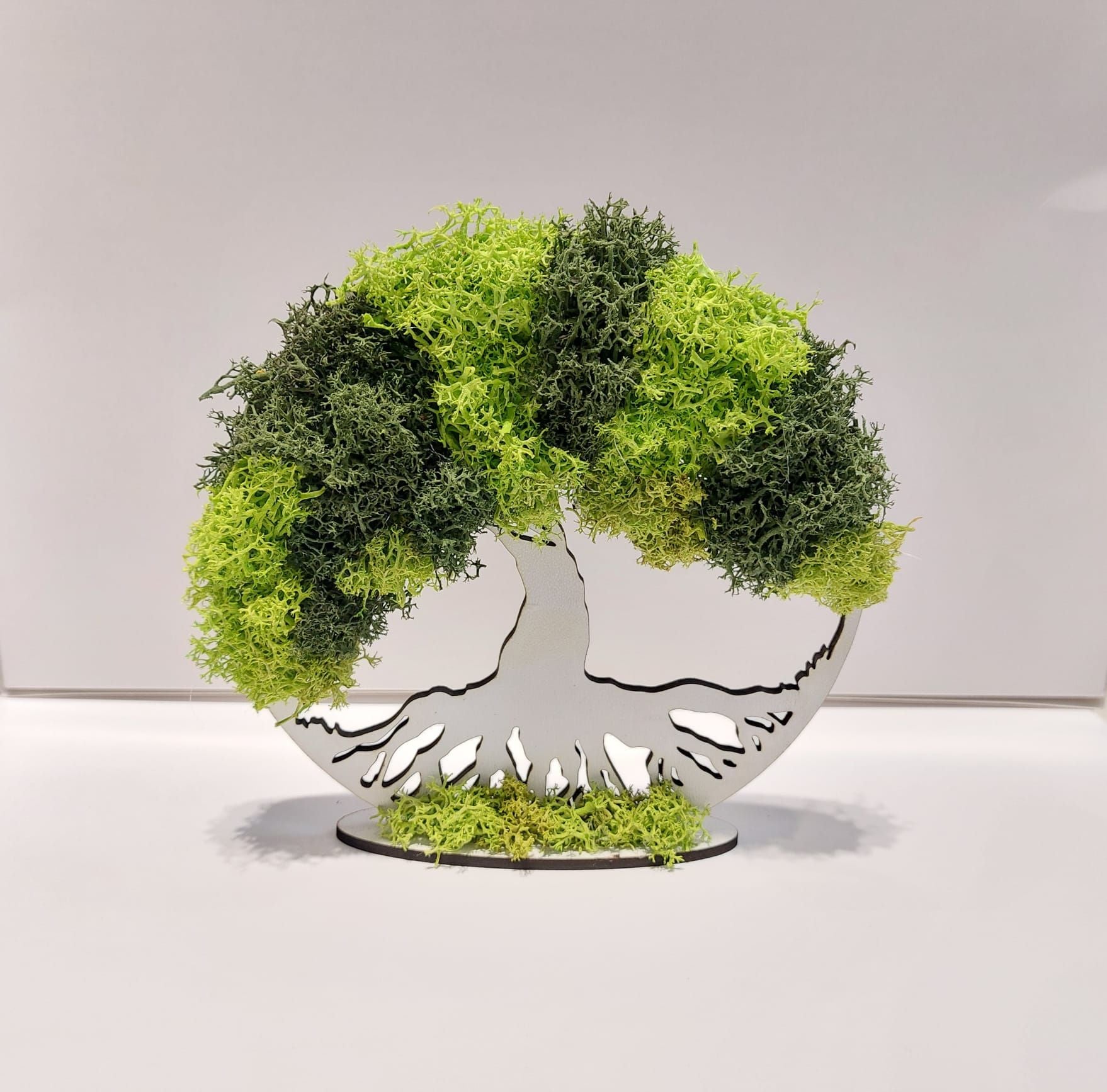 Tree Moss Art