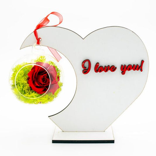 Wife Gift, Mother Gifts, Gifts for her, Christmas Gift, Valentine's Day Gifts, Birthday Gifts, Rose in Glass